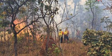 Incêndio florestal chega próximo a casas no Park Way