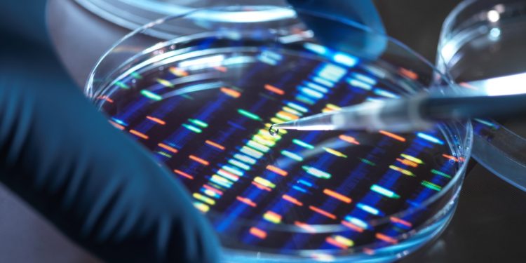 Terapia genética corrige mutação rara que ameaça crianças pequenas