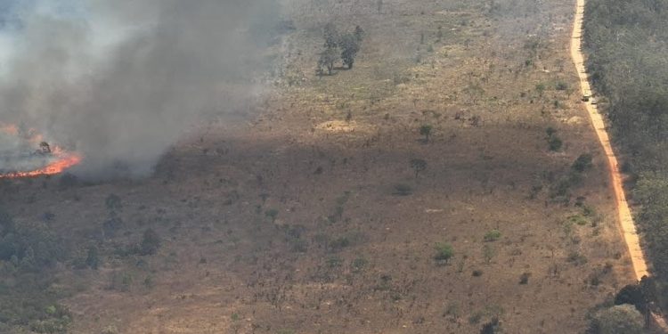 Floresta Nacional de Brasília registra 3° dia seguido de incêndios