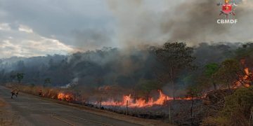 Incêndio atinge 141 hectares de vegetação no DF neste domingo (21/9)
