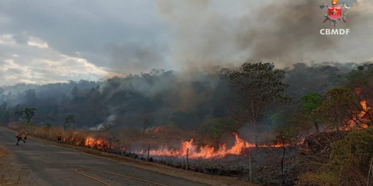 Incêndio atinge 141 hectares de vegetação no DF neste domingo (21/9)
