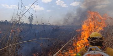 Mapa do fogo: área queimada este ano no DF equivale à de 13 cidades juntas
