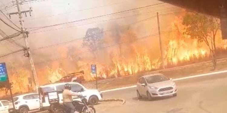 Vídeo: incêndio se aproxima de casas no DF e deixa moradores em pânico