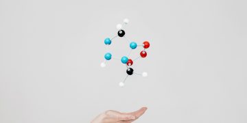 Enxofre e selênio, cálcio e cobre: os elementos que constroem o corpo