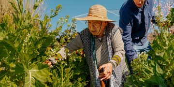 Nascidos após 1939 dificilmente viverão até os 100 anos, diz estudo