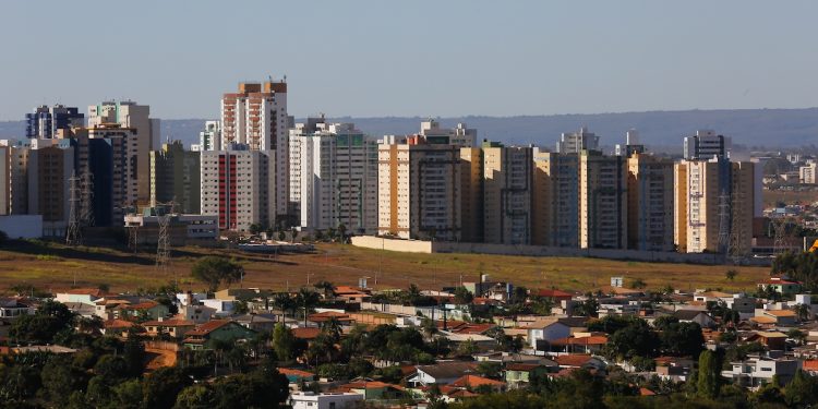 Homem é preso após colocar fogo em área de mata no DF