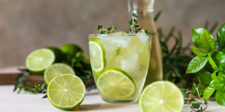 Chá de limão ou suco? Entenda as principais diferenças entre bebidas