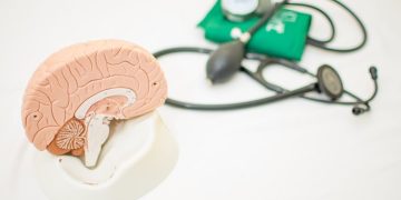 Longevidade: os parâmetros da medicina para definir que pessoa é idosa