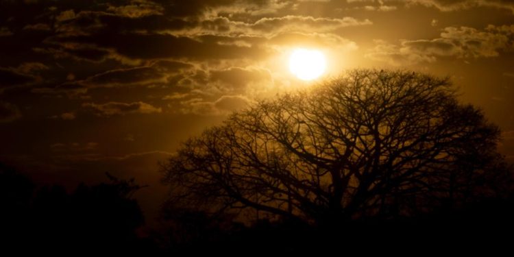 Calorão no DF: baixa umidade deve permanecer até o fim da semana