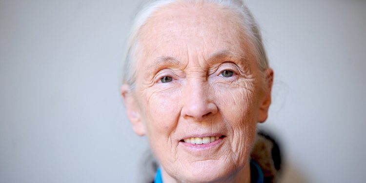 Uma pitada de esperança e outra de coragem