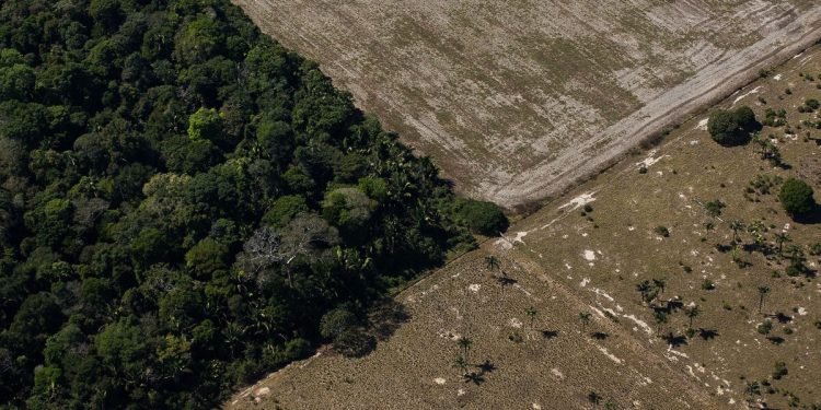 Fim da moratória da soja ameaça indígenas, enquanto ministério foca em demarcações e COP30