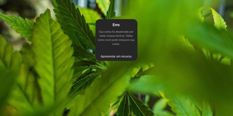 Foi mal, tava doidão: Meta suspende perfis de cannabis do Instagram sem justificativa