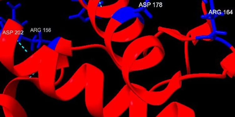 Doenças priônicas são raras, mas devastadoras