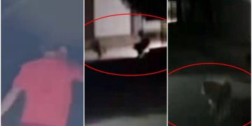 Veja momento em que procurador-geral é executado ao andar com cachorro