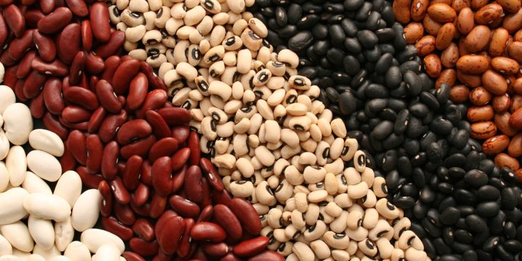 Superalimento comum faz bem para a saúde e ajuda a controlar o peso