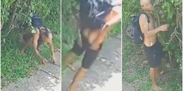 Cagão defeca na porta de casa no DF antes de invadir para furtar