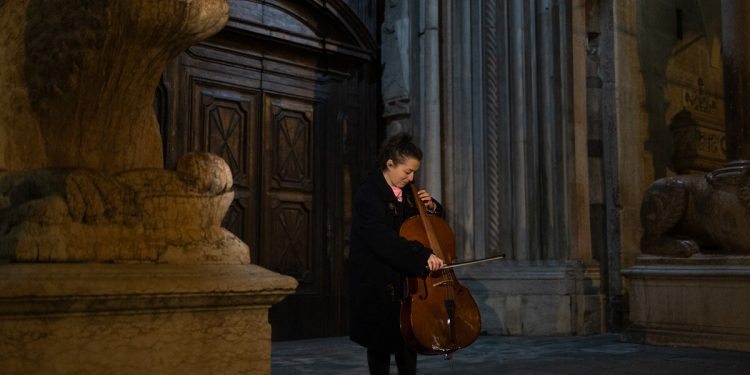 Pau-brasil: o tesouro nacional cobiçado pela indústria da música clássica