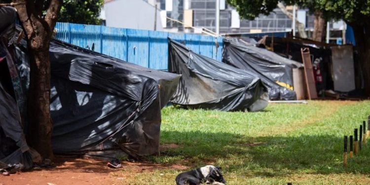 GDF fará ações de acolhimento e retirada de barracos em áreas do Plano