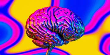 3 bebidas que melhoram a saúde do cérebro e a memória, segundo médico