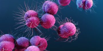 OMS alerta para aumento da resistência da gonorreia a antibióticos