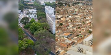 PDOT prevê arborização em regiões com déficit de cobertura vegetal