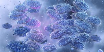 Doenças da Idade Média continuam a circular e fazer vítimas