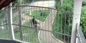 Homem armado é preso após agredir mulher em parquinho infantil no DF