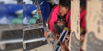 “Queria ficar famoso”, diz tiktoker que deu facas a moradores de rua