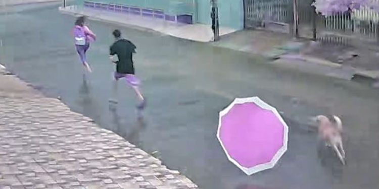 Ladrão pé de chinelo tem furto frustrado ao perder sapato na rua