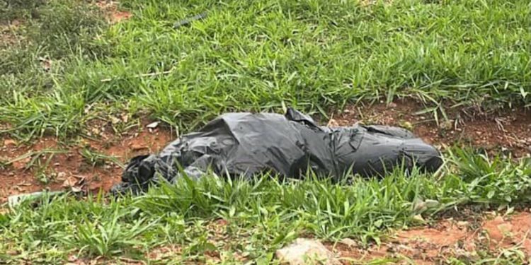 Corpo de homem é encontrado enrolado em saco de lixo em terreno no DF