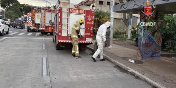 Abelhas atacam na Asa Sul e cinco pessoas são levadas ao hospital