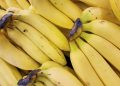 Banana todo dia! Amido presente na fruta pode diminuir risco de doença