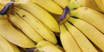 Banana todo dia! Amido presente na fruta pode diminuir risco de doença