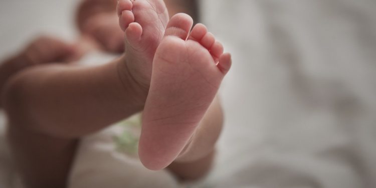 Ferido e abandonado, bebê de 8 meses é resgatado em casa no DF