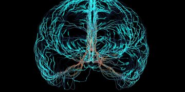 Mounjaro mexe com sinais cerebrais para controlar impulsos, diz estudo