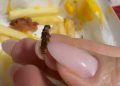 Cliente filma lanche do McDonald’s com larvas, insetos e faz denúncia