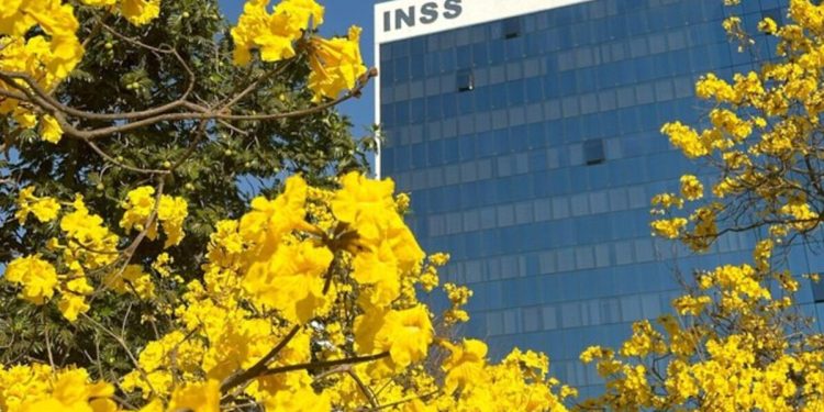 Farra do INSS: antes de gerir ONG investigada, presidente era motorista