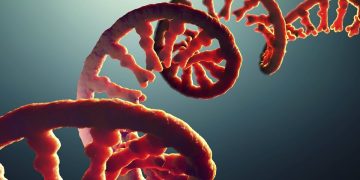 Estudo relaciona RNA do coronavírus no sangue com risco de Covid grave