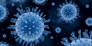 H5N5: variante da gripe aviária é registrada em humano pela 1ª vez