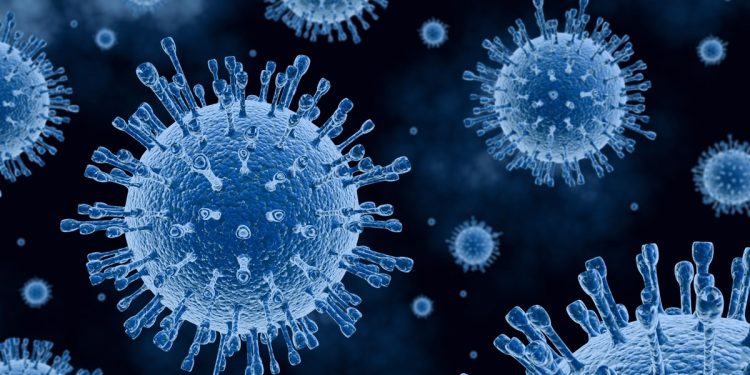 H5N5: variante da gripe aviária é registrada em humano pela 1ª vez