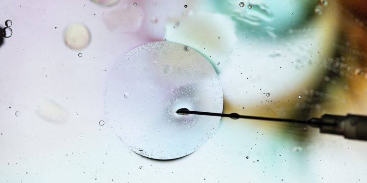 Mesmo com barreiras, IA aumenta a precisão da reprodução assistida