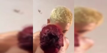 Algemas do amor: mulher beija faccionado Dorme Sujo durante prisão