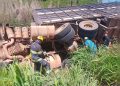 Caminhão com 75 bois tomba e motorista fica preso às ferragens