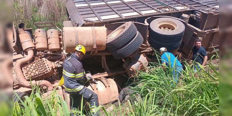 Caminhão com 75 bois tomba e motorista fica preso às ferragens