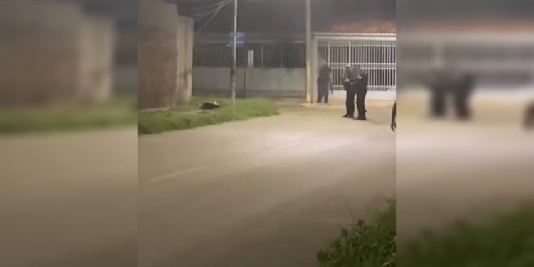 Pit-bulls pularam de carro em movimento antes de atacar criança e PM