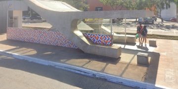 Ataque de abelhas deixa duas pessoas feridas na Asa Sul