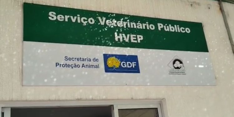 Revoltada, mulher denuncia caos em Hospital Veterinário: “Descaso”