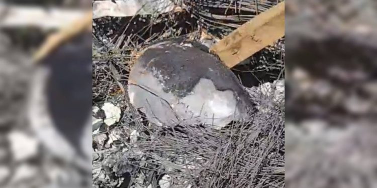 Ritual satânico: advogado esquartejou, queimou corpo e usou rastelo