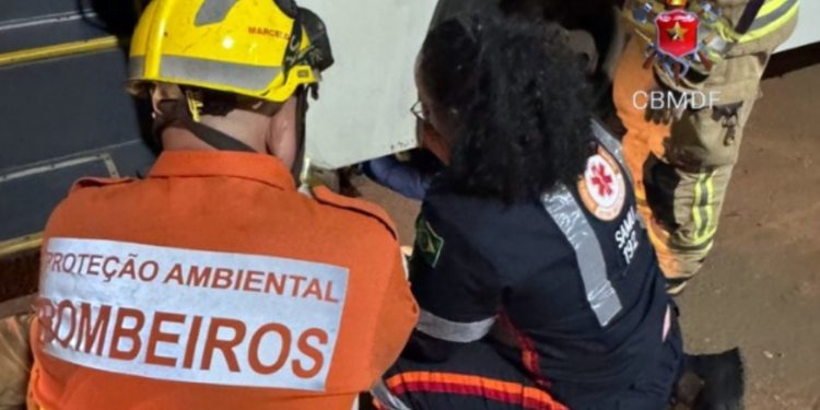 Mulher morre atropelada em garagem de empresa de ônibus