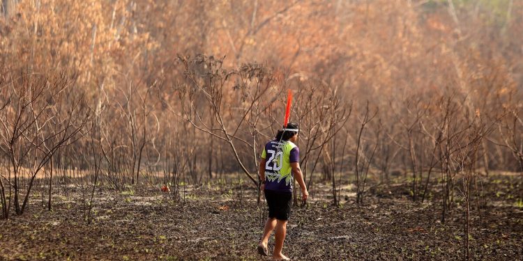 Novo licenciamento ambiental é desregulação e pode chegar ao STF, diz presidente do Ibama